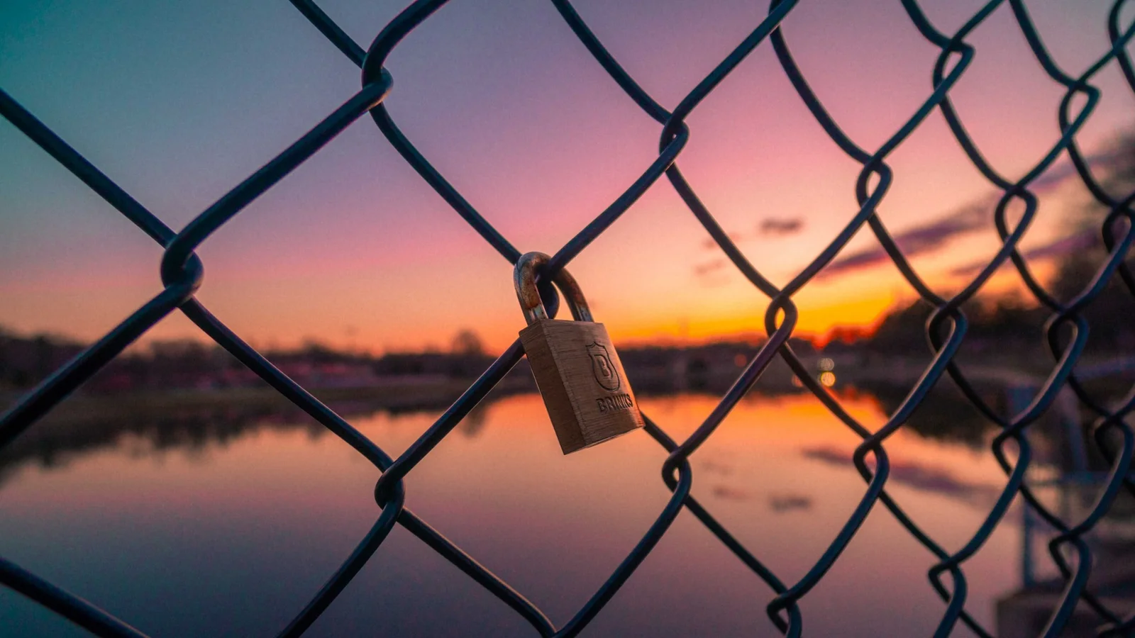 unsplash-image-BJHN6Do8kjQ.jpg