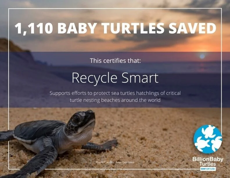Recycle Smart Baby Turtles Saved (1).jpeg