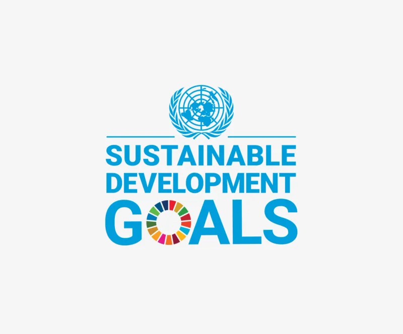 United Nations Sustainable Development Goals