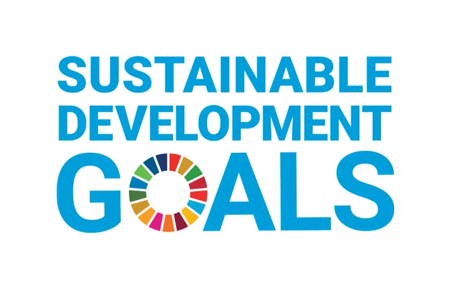 United Nations Sustainable Development Goals