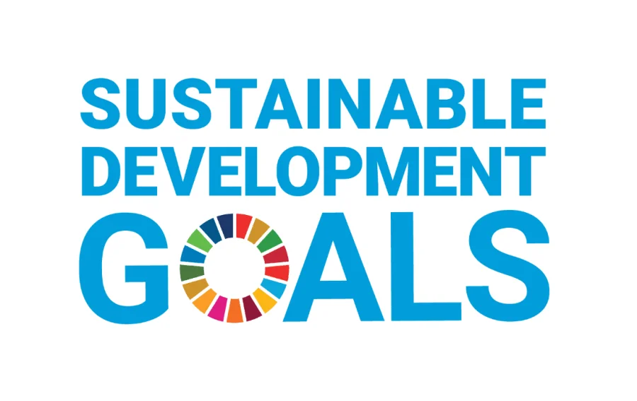 United Nations Sustainable Development Goals